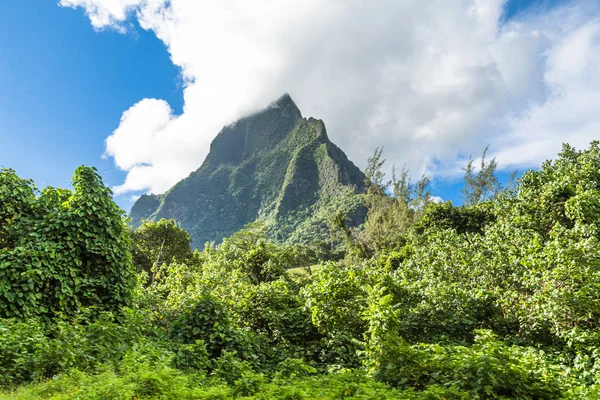 Isla Moorea Polinesia Francesa — Foto de Stock