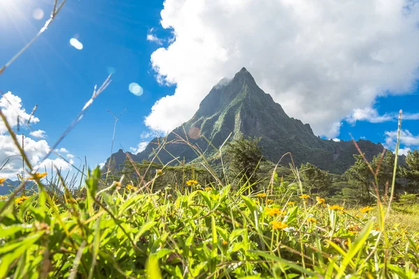 Moorea Adası Fransızca Polinezyası.