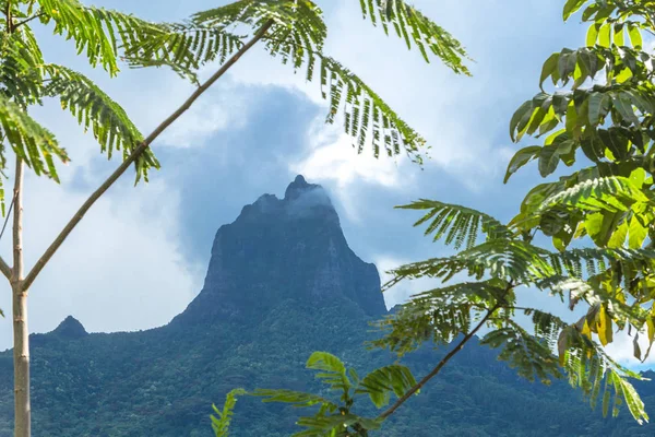 Isola Moorea Nella Polinesia Francese — Foto Stock