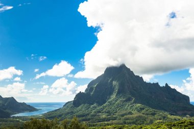 Moorea Adası Fransızca Polinezyası.