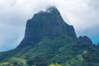 Moorea Adası Fransızca Polinezyası.