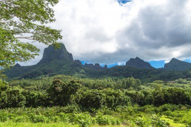 Moorea Adası Fransızca Polinezyası.