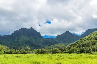 Moorea Adası Fransızca Polinezyası.