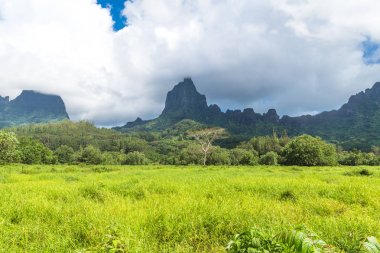 Moorea Adası Fransızca Polinezyası.