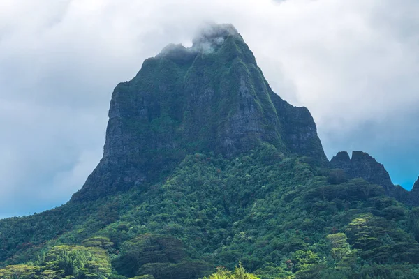 Moorea Adası Fransızca Polinezyası.