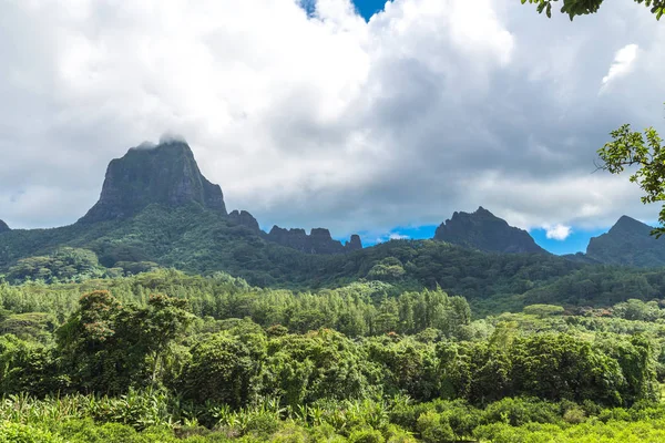 Isla Moorea Polinesia Francesa — Foto de Stock