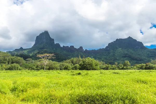 Острові Moorea Французької Полінезії — стокове фото