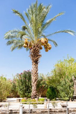 Capernaum, İsa Galilee İsrail, Galilee şehir.