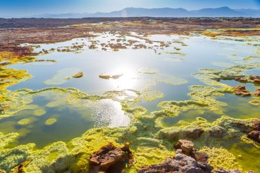 Büyük Danakil depresyon, Mekelle, Etiyopya