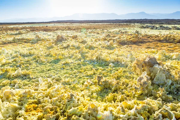 Great Danakil Depression, Mekelle, Ethiopia