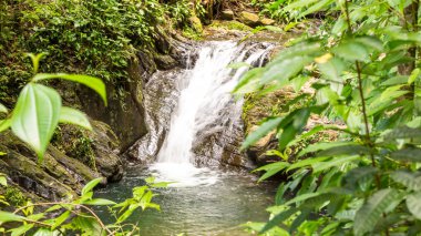 Belize, Orta Amerika güzel şelale.