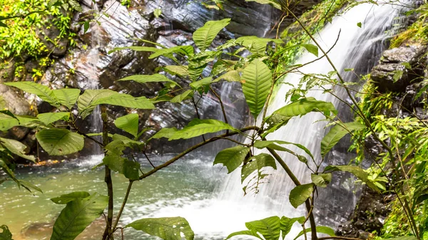 Belize, Orta Amerika güzel şelale.