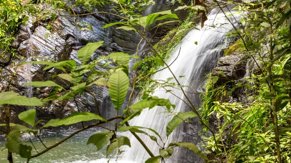 Belize, Orta Amerika güzel şelale.