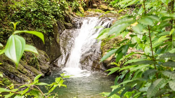 Belize, Orta Amerika güzel şelale.