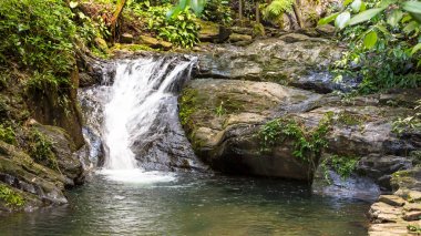Belize, Orta Amerika güzel şelale.