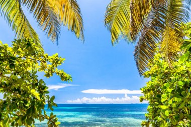 Belize, Orta Amerika'da bir tropik cennet.