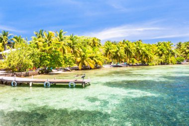 Belize, Orta Amerika'da bir tropik cennet.