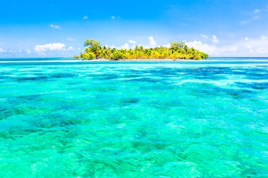 Belize, Orta Amerika'da bir tropik cennet.
