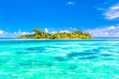 Belize, Orta Amerika'da bir tropik cennet.
