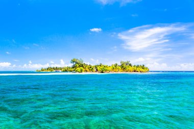 Belize, Orta Amerika'da bir tropik cennet.