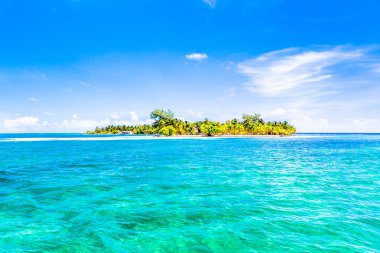 Belize, Orta Amerika'da bir tropik cennet.