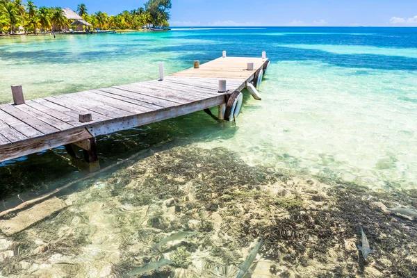 Belize Tropický Ráj Střední Americe — Stock fotografie