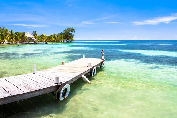 Belize Egy Trópusi Paradicsomban Közép Amerika — Stock Fotó