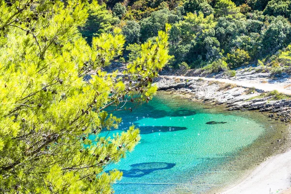 Île de Brac en Croatie, Europe . — Photo