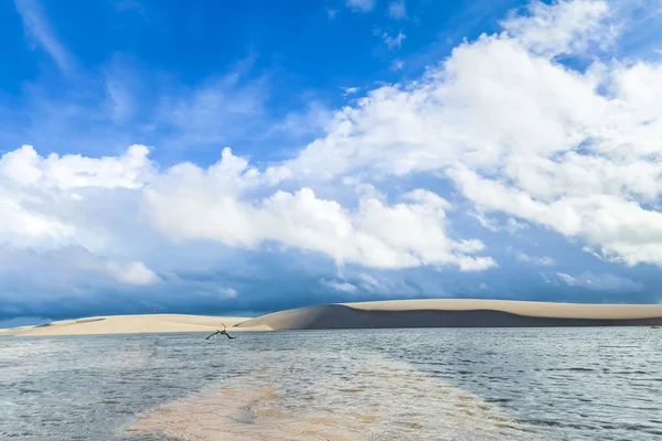 Lencois Maranhenses, Parque Nacional, Maranhao, Brasil —  Fotos de Stock