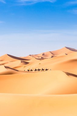 Fas 'taki Sahra Çölü' nde Merzouga.