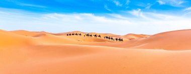 Fas 'taki Sahra Çölü' nde Merzouga.