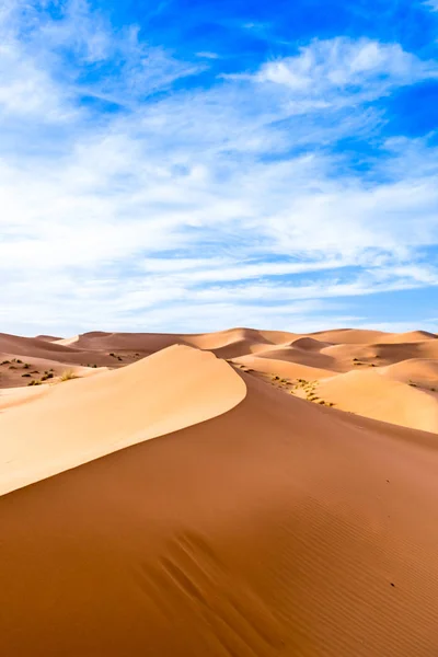 Merzouga Deserto Saara Marrocos — Fotografia de Stock