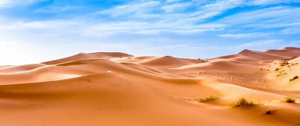 Merzouga Desierto Del Sahara Marruecos — Foto de Stock