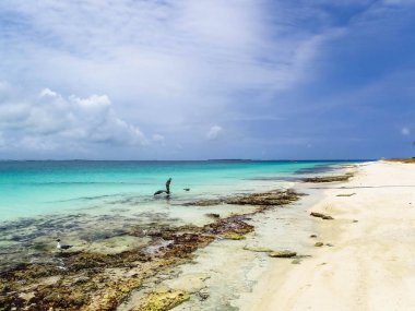 Los Roques, Venezuela harika adalar. Cennet Adaları.