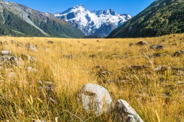 Aoraki Mount Cook Milli Parkı, Yeni Zelanda, Oceania.