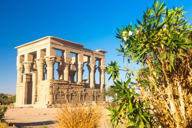 Aswan Mısır Nil tapınakta Philae