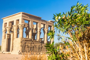 Aswan Mısır Nil tapınakta Philae