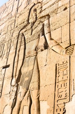 Kom Ombo, Aswan, Mısır'da bulunan Tapınağı.