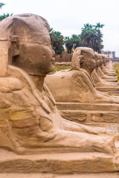 Luxor Temple, Karnak, Egito . — Fotografia de Stock