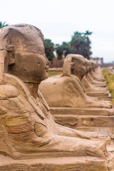 De tempel van Luxor, Karnak, Egypte. — Stockfoto