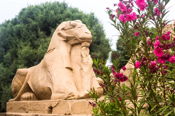 Luksor Tapınağı, Karnak, Mısır.