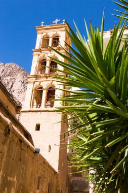 Sina Dağı, Mısır 'daki Musa Dağı.