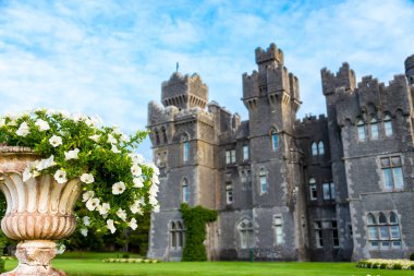Mayo, İrlanda. 