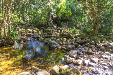 Saco do Mamangua, a tropical fiord in Paraty, Rio de Janeiro, Br