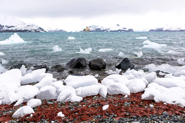 Beau paysage et paysage en Antarctique — Photo