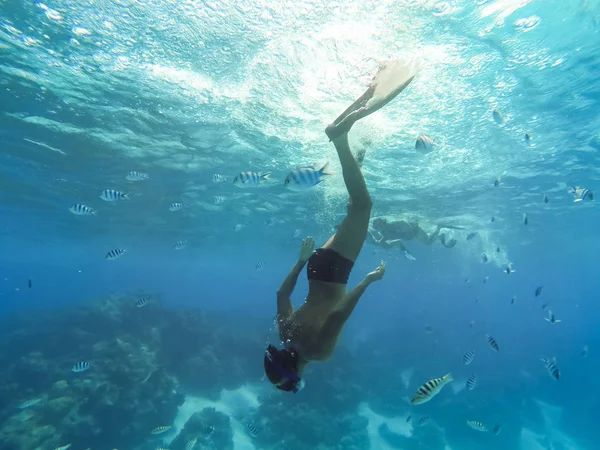 Bora Bora, Fransız Polinezyası. Turkuaz rengi şnorkel. — Stok fotoğraf