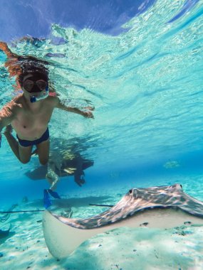 Manta ışınları bu konuda dalış sırasında Fransız Polinezyası Bora Bora Adası Yüzme ada cennet ve turkuaz mavi su.