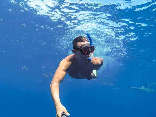 Haaien Zwemmen Bora Bora Eiland Frans Polynesië Tijdens Het Snorkelen — Stockfoto