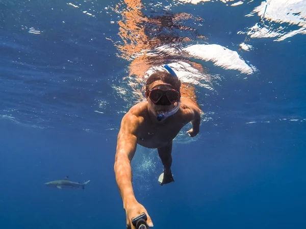 Haaien Zwemmen Bora Bora Eiland Frans Polynesië Tijdens Het Snorkelen — Stockfoto