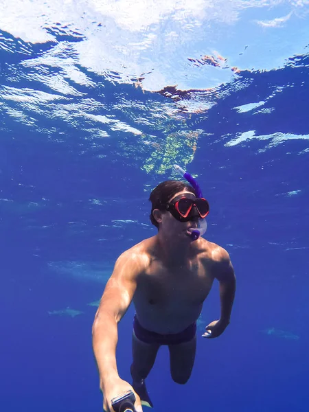 Haaien Zwemmen Bora Bora Eiland Frans Polynesië Tijdens Het Snorkelen — Stockfoto